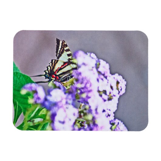 隠れて探すゲーム マグネット (横)