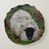 隠れることのDartmoorのヒツジ ラウンドクッション (裏面)