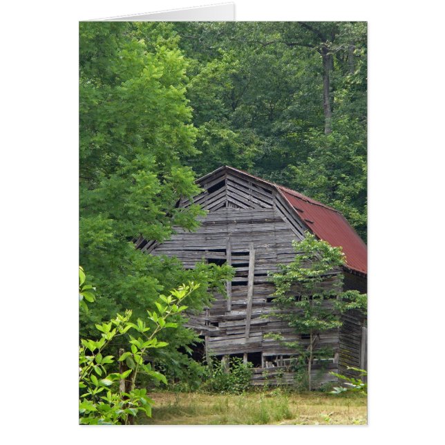 隠れること (正面)