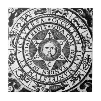 隠れる明らかになります タイル