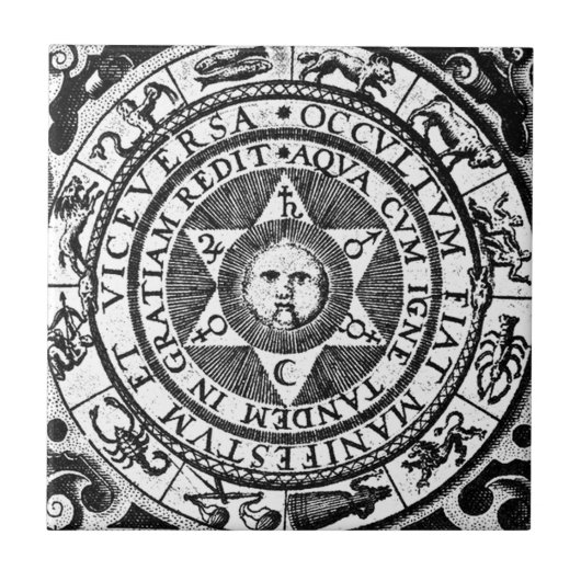 隠れる明らかになります タイル (正面)