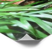 隠れカエル ポスター (角)