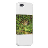 隠れ場所 iPhoneケース (裏面右)