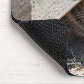 隠れ子猫 マウスパッド (コーナー)