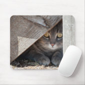 隠れ子猫 マウスパッド (マウス)