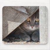 隠れ子猫 マウスパッド (正面)
