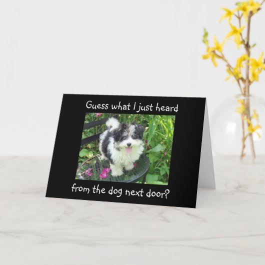 隣の犬の卒業願い カード (黄色い花)