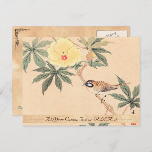 雀とハイビスカスけいぶんまつもつ鳥の花 ポストカード (正面/裏面)