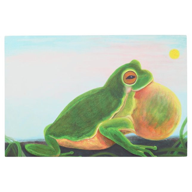 雄のカエルは仲間を引き付けるために歌を歌う メタルプリント (正面)