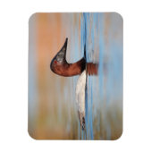 雄のカンバスバックアヒル マグネット (縦)