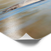 雄のカンヴァーナガモ フォトプリント            (角)