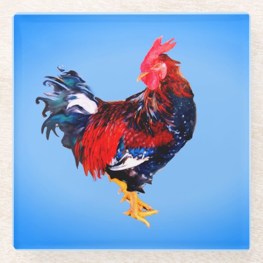 雄のガチョウ科の鳥 ガラスコースター (正面)