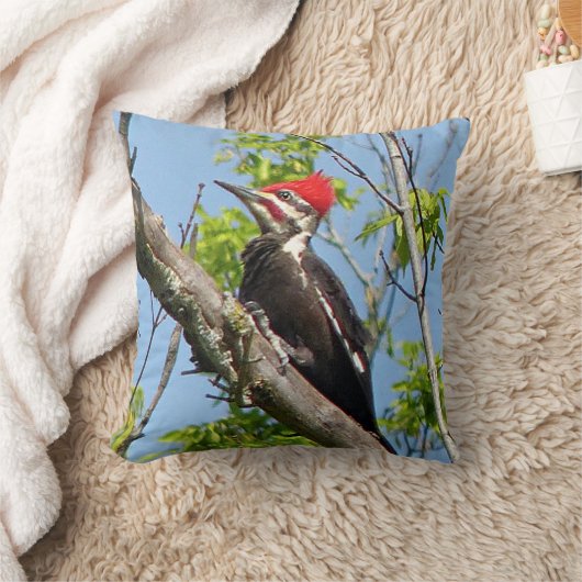 雄のキツネザル クッション (ブランケット)