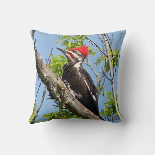 雄のキツネザル クッション (裏面)