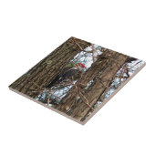 雄のキツネザル タイル (側面)