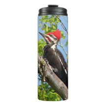 雄のキツネザル