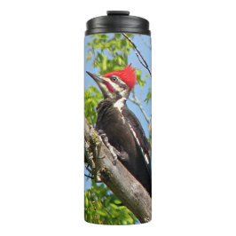 雄のキツネザル タンブラー