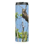 雄のキツネザル タンブラー (裏面)