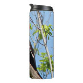 雄のキツネザル タンブラー (回転右)