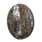 雄のキツネザル ダーツボード (正面右)