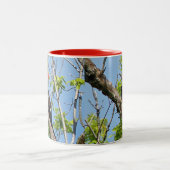 雄のキツネザル ツートーンマグカップ (中央)