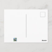 雄のキツネザル ポストカード (裏面)