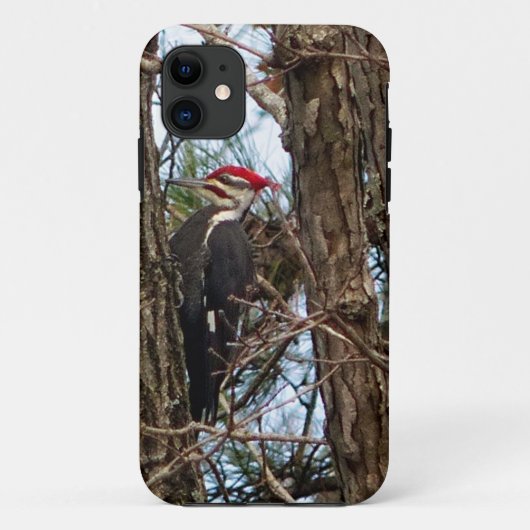 雄のキツネザル Case-Mate iPhoneケース (裏面)