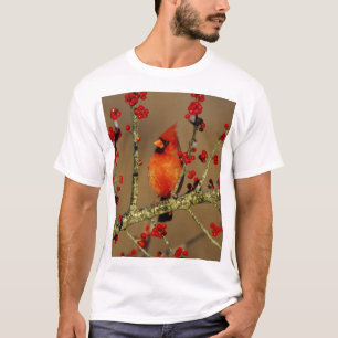 雄のショウジョウコウカンチョウが止まる イリノイ州 Tシャツ