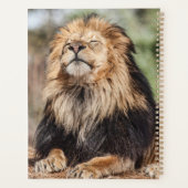 雄のライオンの日光浴 プランナー手帳 (裏面)