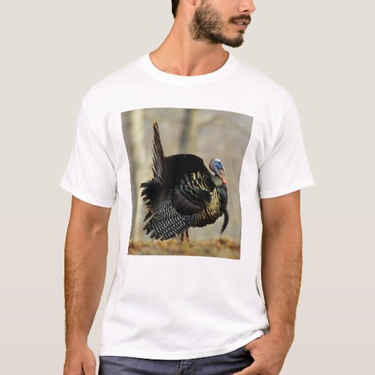 雄の七面鳥のディスプレイ、イリノイ州 Tシャツ (正面)