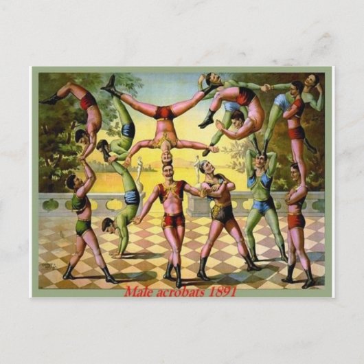 雄の曲芸師 ポストカード (正面)