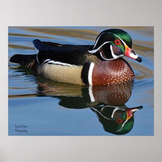 雄の木の鴨反射装飾用クッションマウスパッドP ポスター (正面)