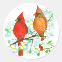 雄の雌の（鳥）ショウジョウコウカンチョウの鳥のハナミズキ