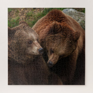 雄を見つめる茶色のクマの女性 ジグソーパズル