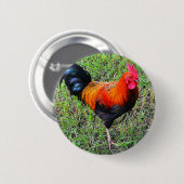雄ん鶏落書き 缶バッジ (正面&裏面)