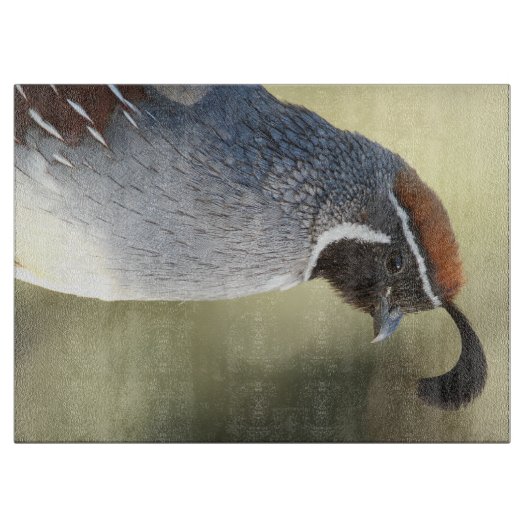 雄ウズラ カッティングボード (正面)
