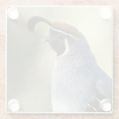 雄ウズラ ガラスコースター (裏面)