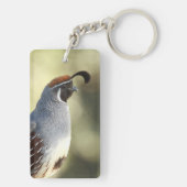 雄ウズラ キーホルダー (裏面)