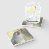 雄ウズラ ストーンコースター (横)