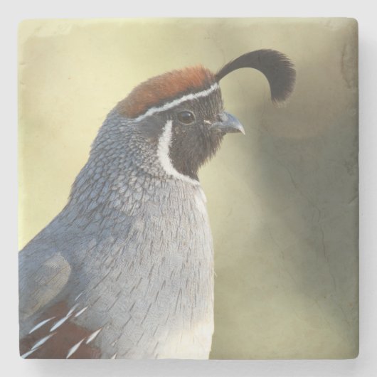 雄ウズラ ストーンコースター (正面)