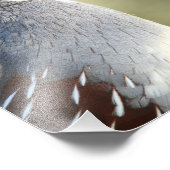 雄ウズラ フォトプリント            (角)