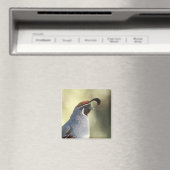 雄ウズラ マグネット (インサイチュ (食洗機))