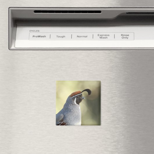 雄ウズラ マグネット (インサイチュ (食洗機))