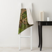 雄エルク |アルバータ、カナダ、バンフ国立公園 シェルパブランケット (インサイチュ)