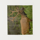 雄エルク |アルバータ、カナダ、バンフ国立公園 タペストリー (正面)