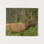 雄エルク |アルバータ、カナダ、バンフ国立公園 タペストリー (正面(横))