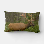 雄エルク |アルバータ、カナダ、バンフ国立公園 ランバークッション (裏面)