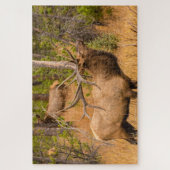 雄エルク |コロラド州ロッキーマウンテン国立公園 ジグソーパズル (縦)