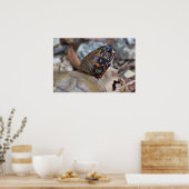 雄カラフル亀ポートレートポスター ポスター (キッチン)