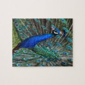 雄カラフル孔雀 ジグソーパズル (横)